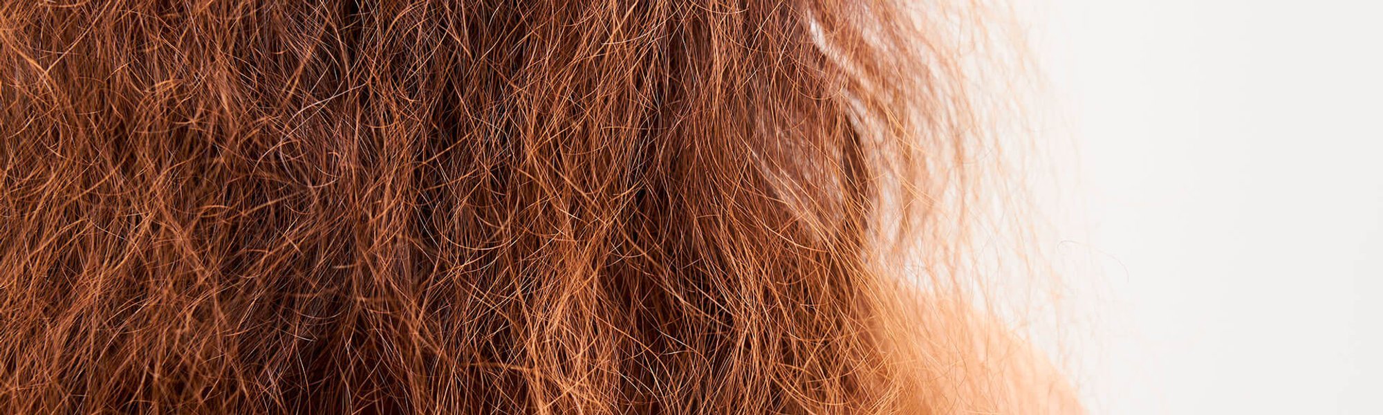 Cabelo ressecado: confira como cuidar e hidratar os fios!