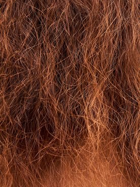 Cabelo ressecado: confira como cuidar e hidratar os fios!