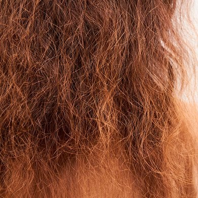 Cabelo ressecado: descubra o que pode deixá-lo ressecado