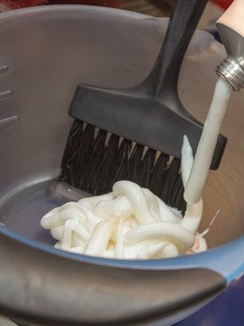 Tinta de cabelo: quais são os tipos e como escolher?