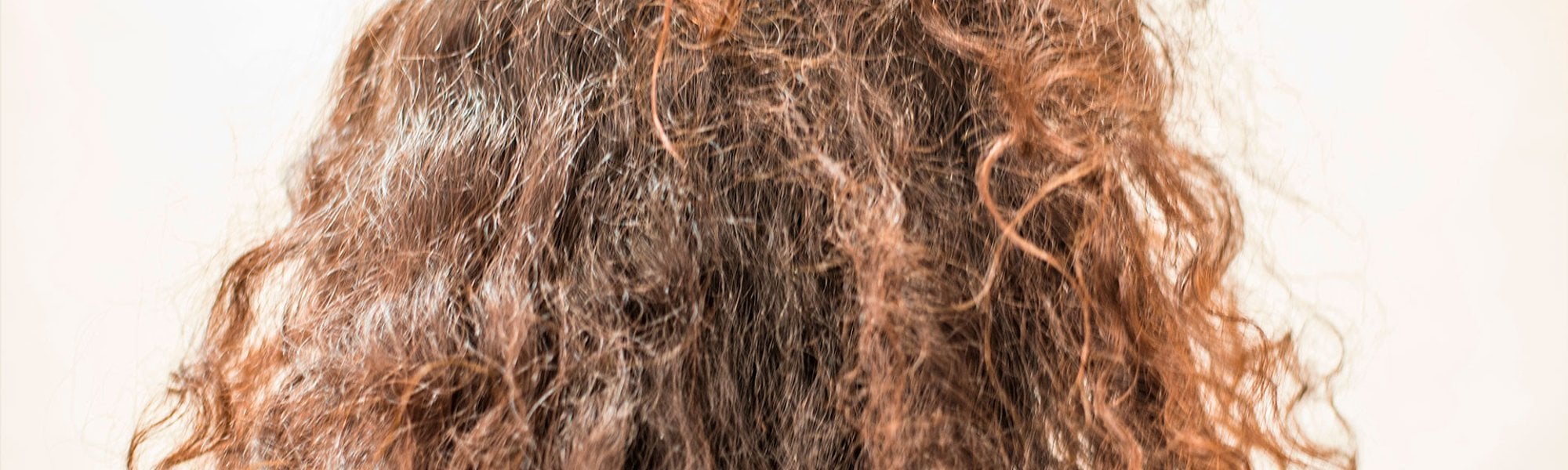 Cabelo poroso cacheado: dicas de como recuperar o brilho fios