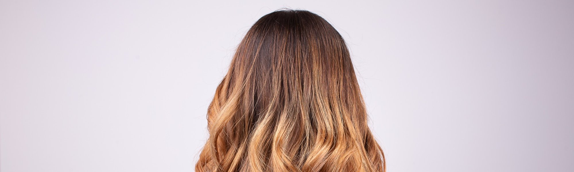Cabelo Castanho Corte Degrade Fundo Branco