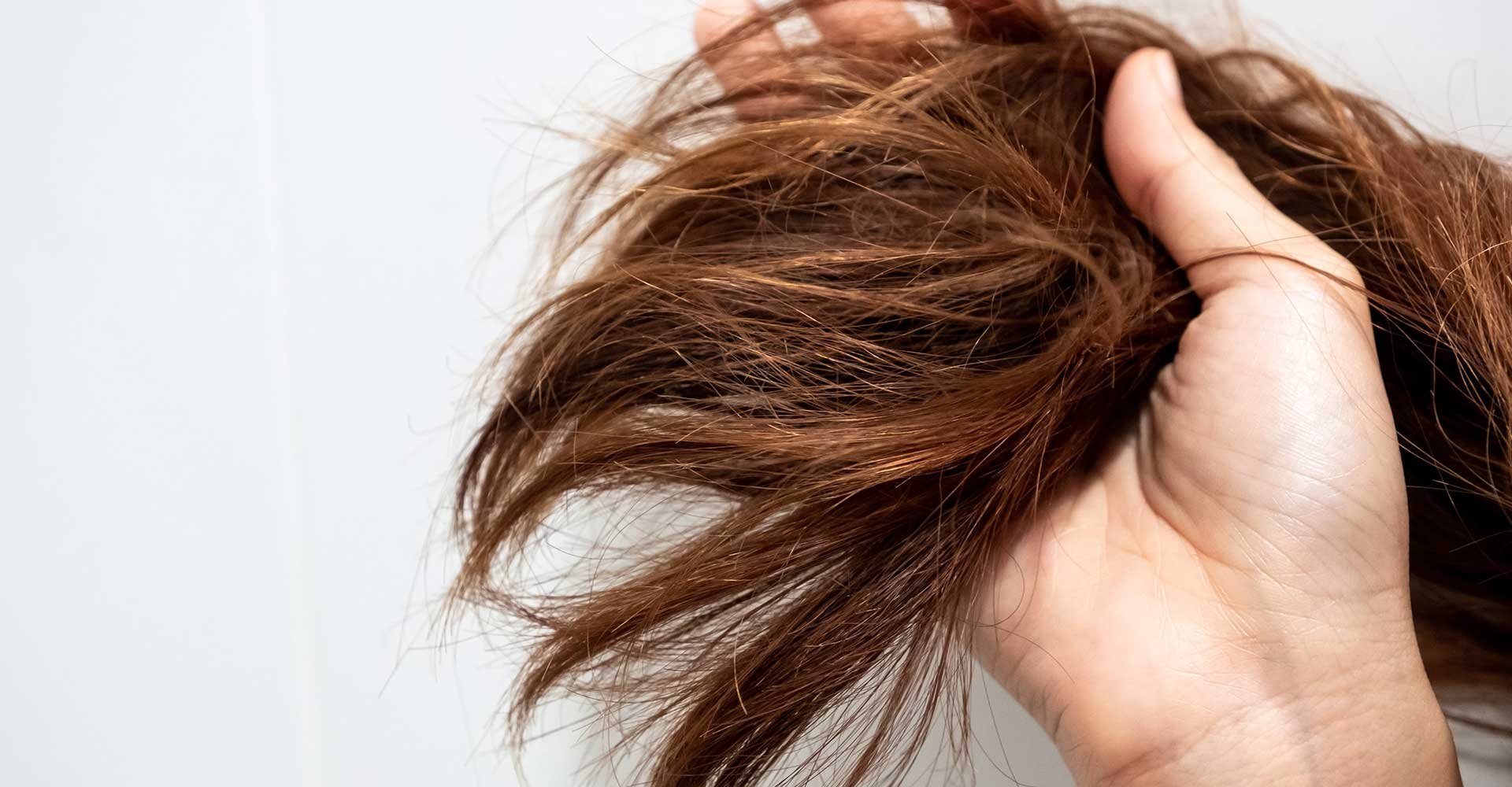 Imagem Mostrando Cabelo Danificado