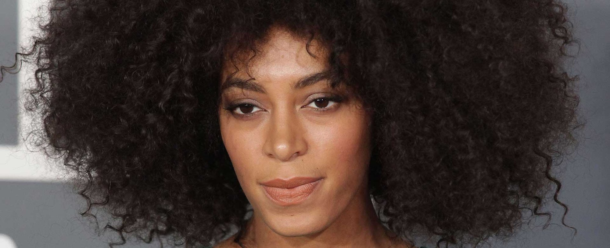 Imagem da cantora Solange Knowles com cabelo cacheado extremamente volumoso