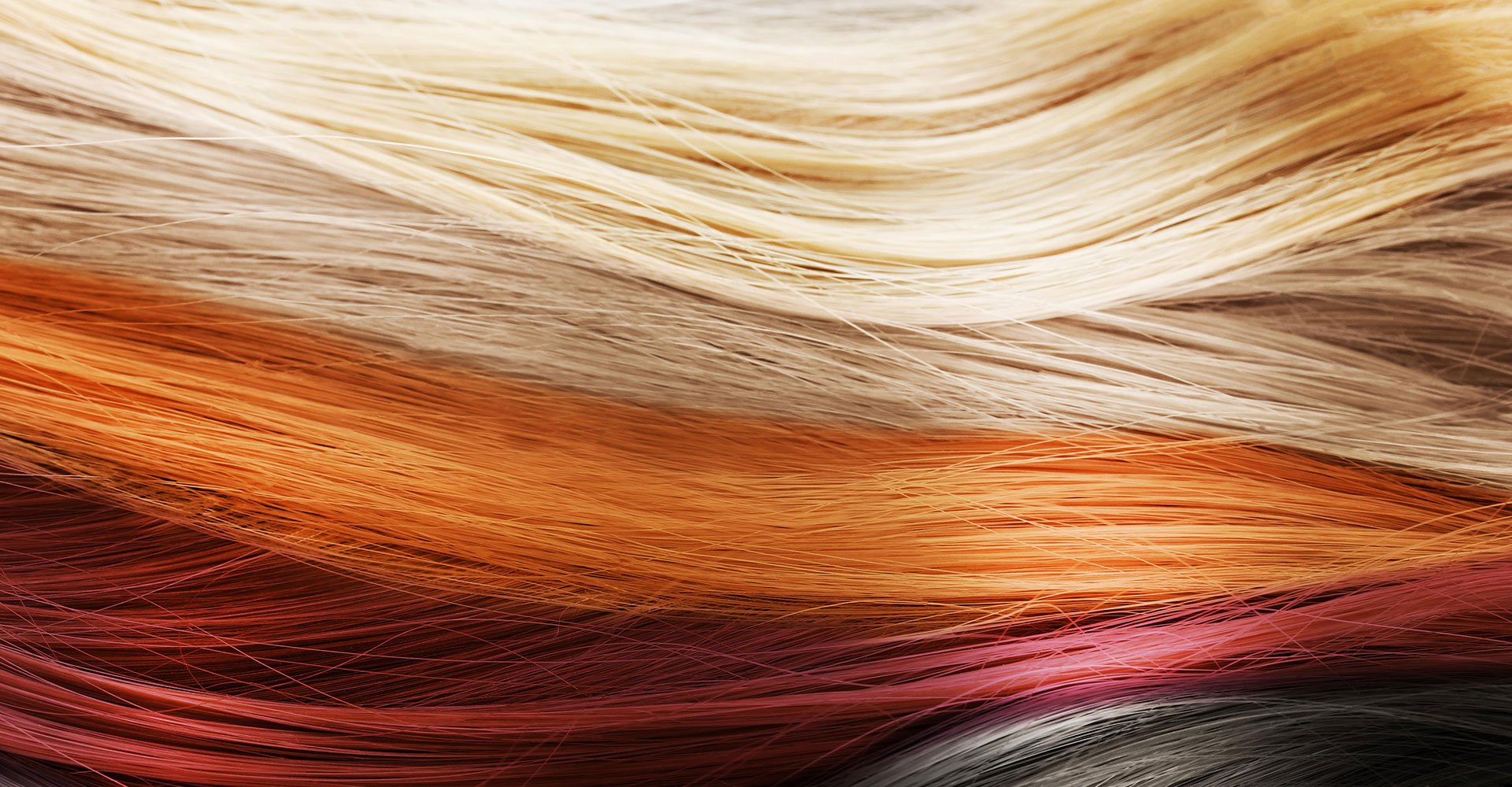 Imagem Com Varios Cabelos De Diferentes Cores