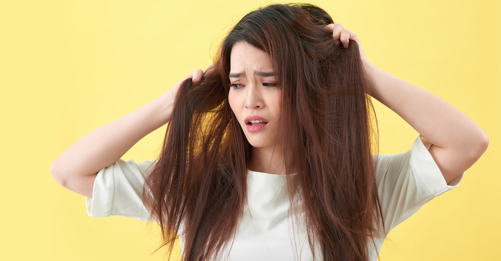 3822 Oleo Para Cabelo Ressecado Saiba Os Beneficios E Entenda Como Usar