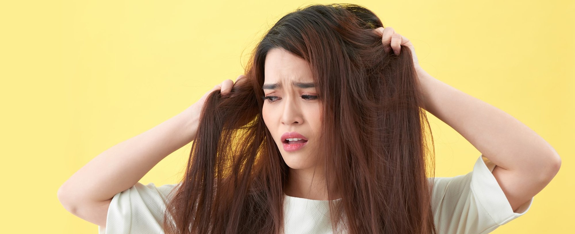 3822 Oleo Para Cabelo Ressecado Saiba Os Beneficios E Entenda Como Usar