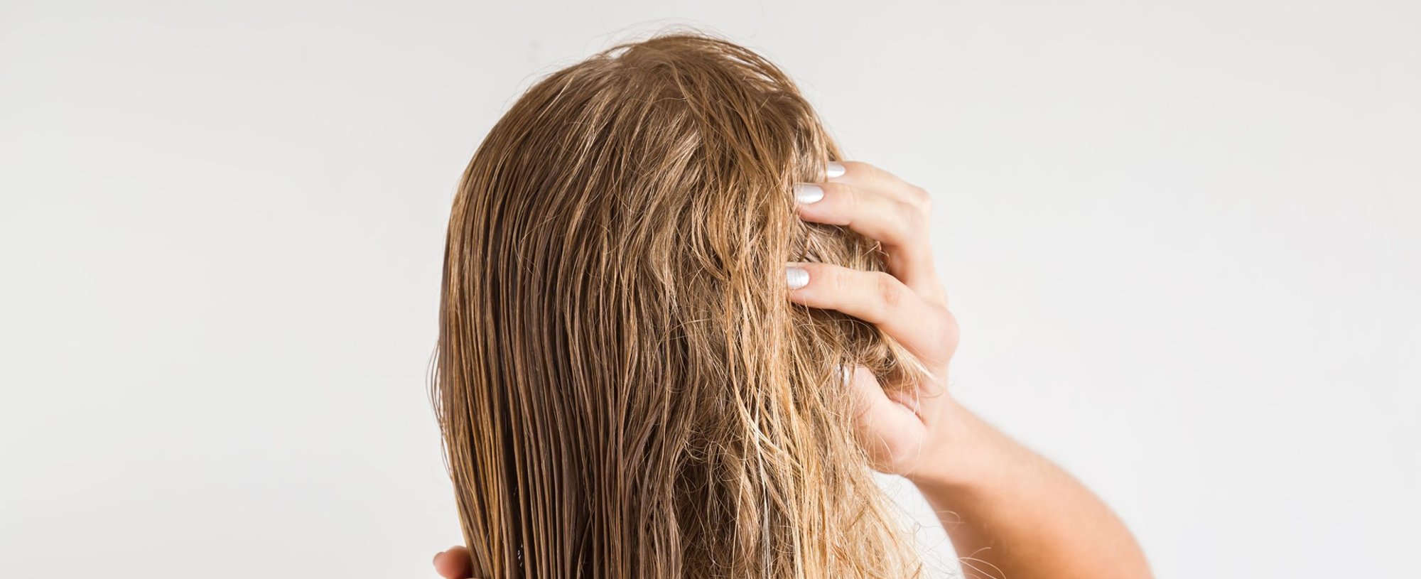 3861 Melhor Shampoo Para Cabelos Ressecados Saiba Como Escolher Os Produtos Certos Para Os Fios