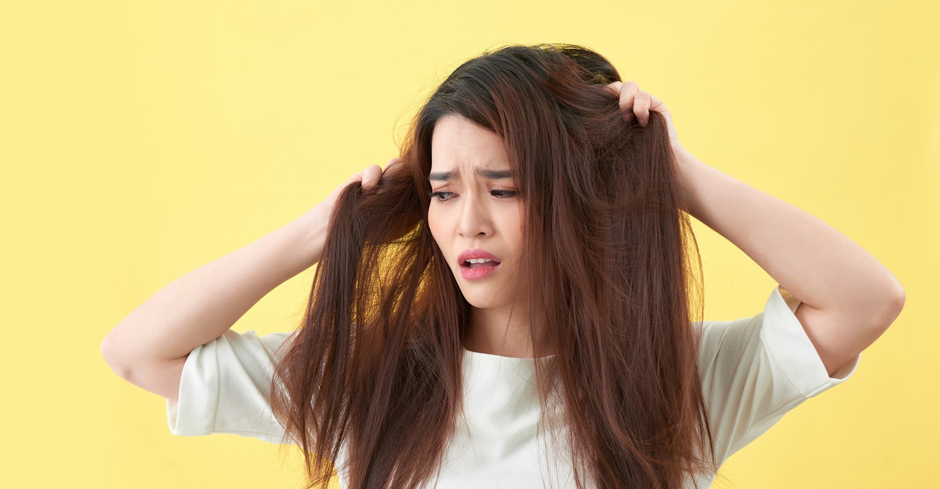 5316 Cabelos Ressecados Conheca O Ritual Para Restaurar A Maciez Dos Fios