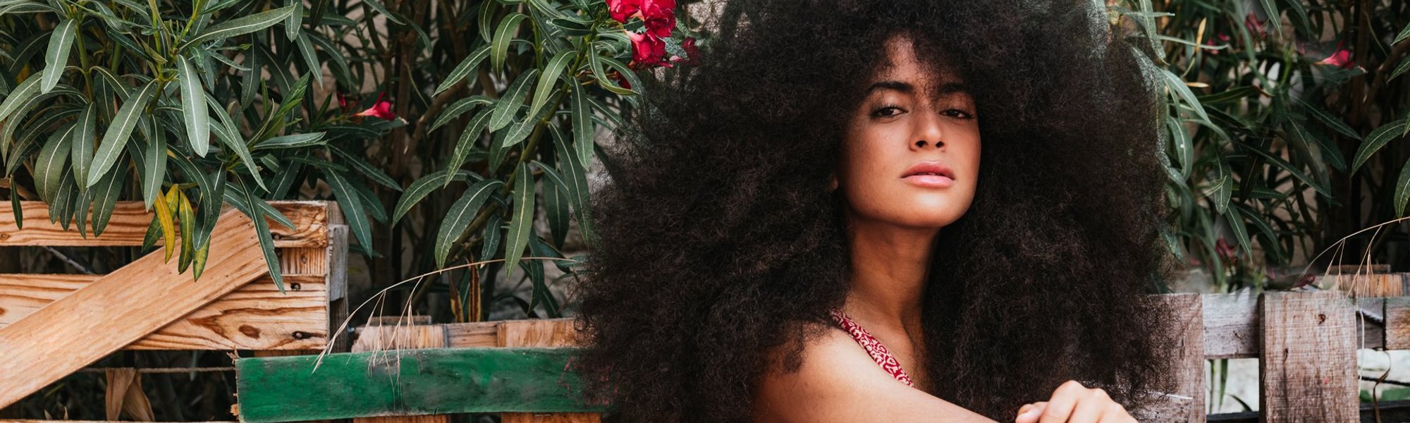 Modelo negra com cabelo longo e crespo