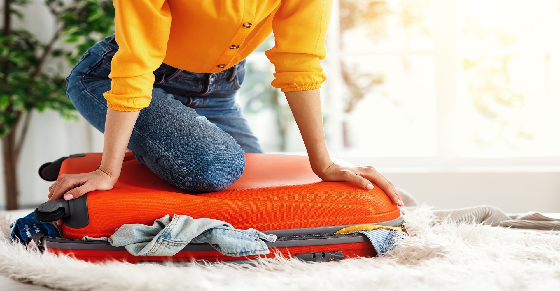 Dicas De Viagem Descubra Como Levar Shampoo