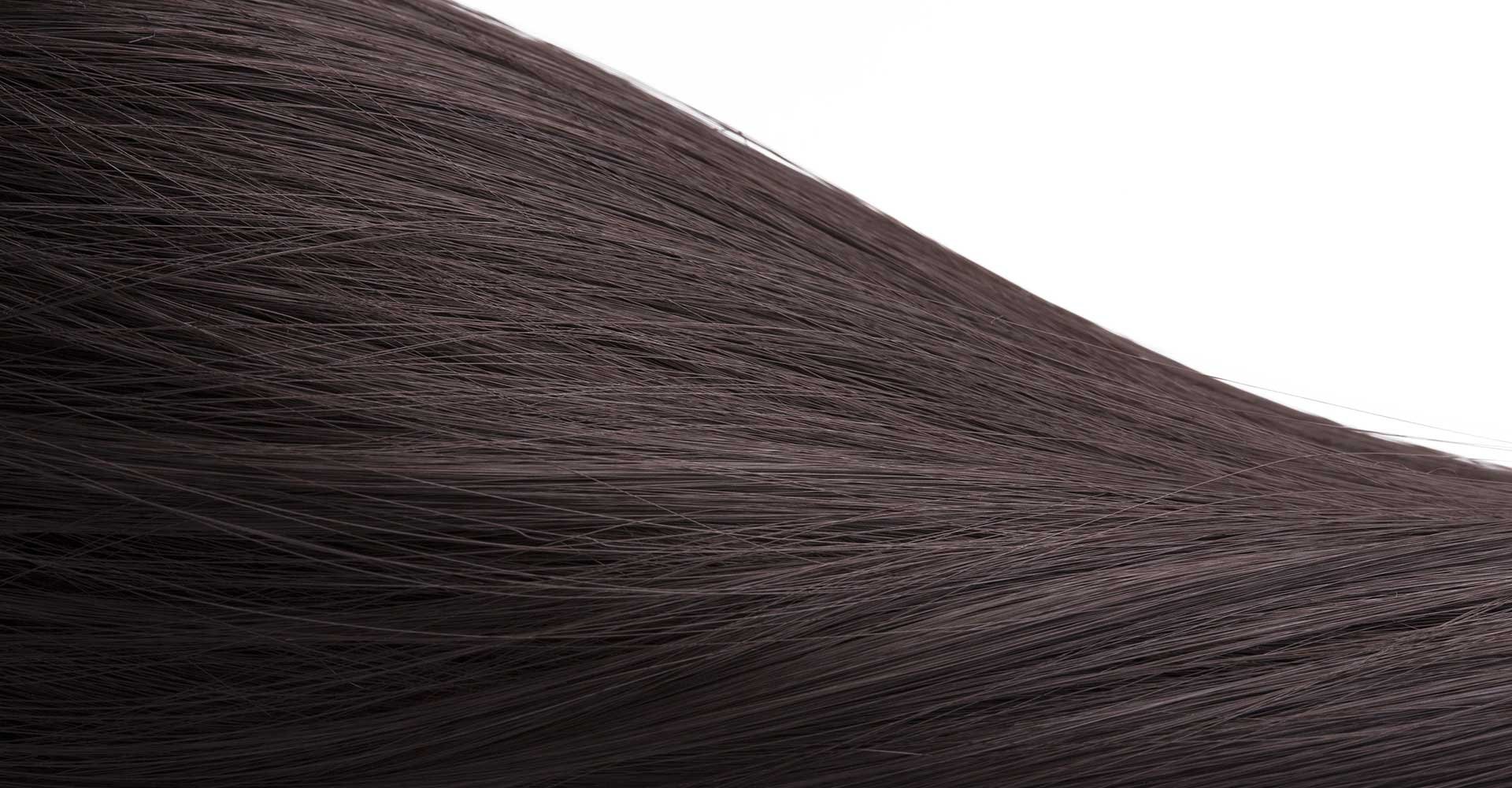 Imagem Mostrando Cabelos Castanho