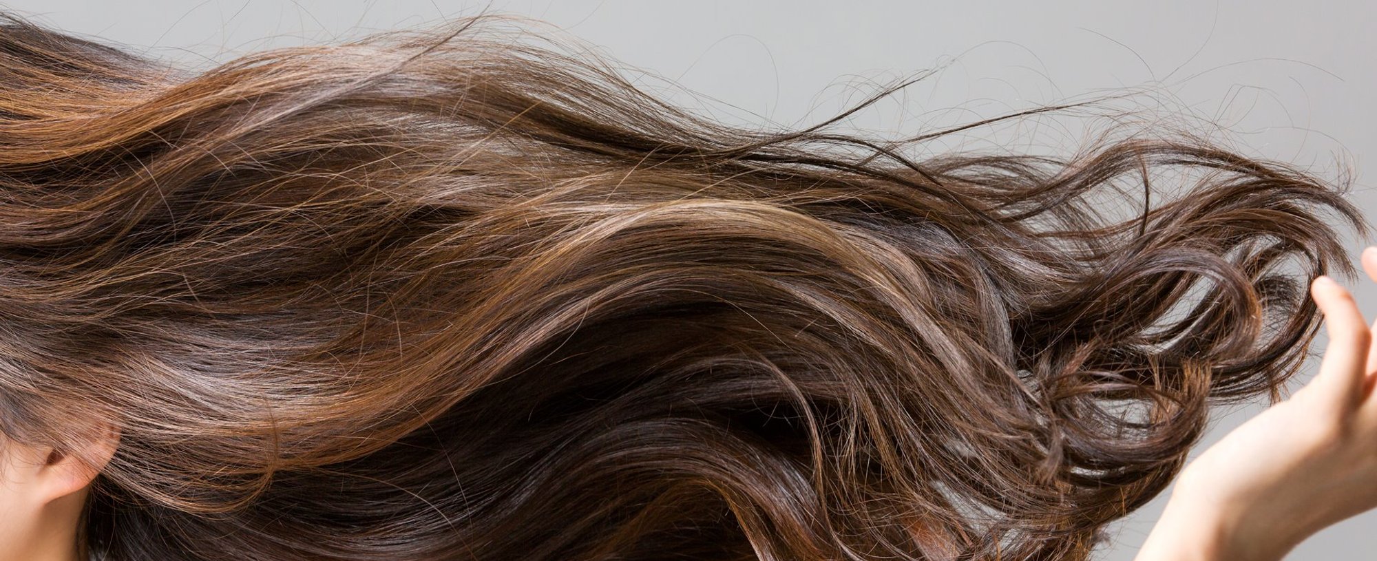 2743 Cor De Cabelo Chocolate Para Pele Morena Clara E Negra Saiba Como Usar A Coloracao