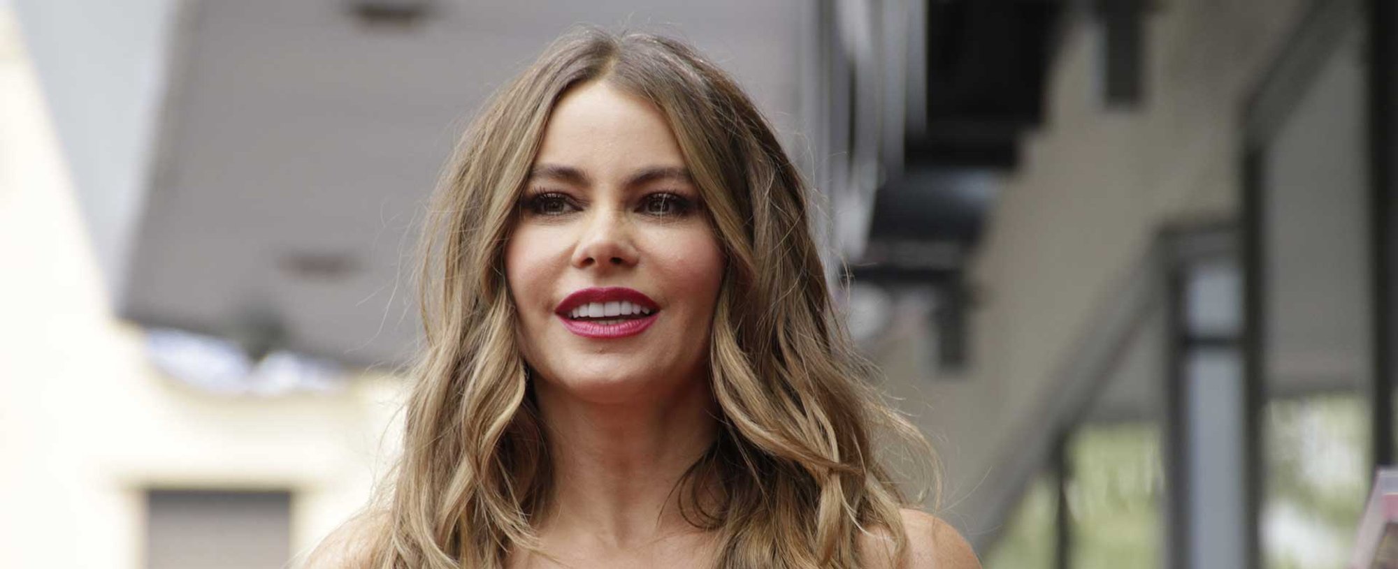 Atriz Sofia Vergara