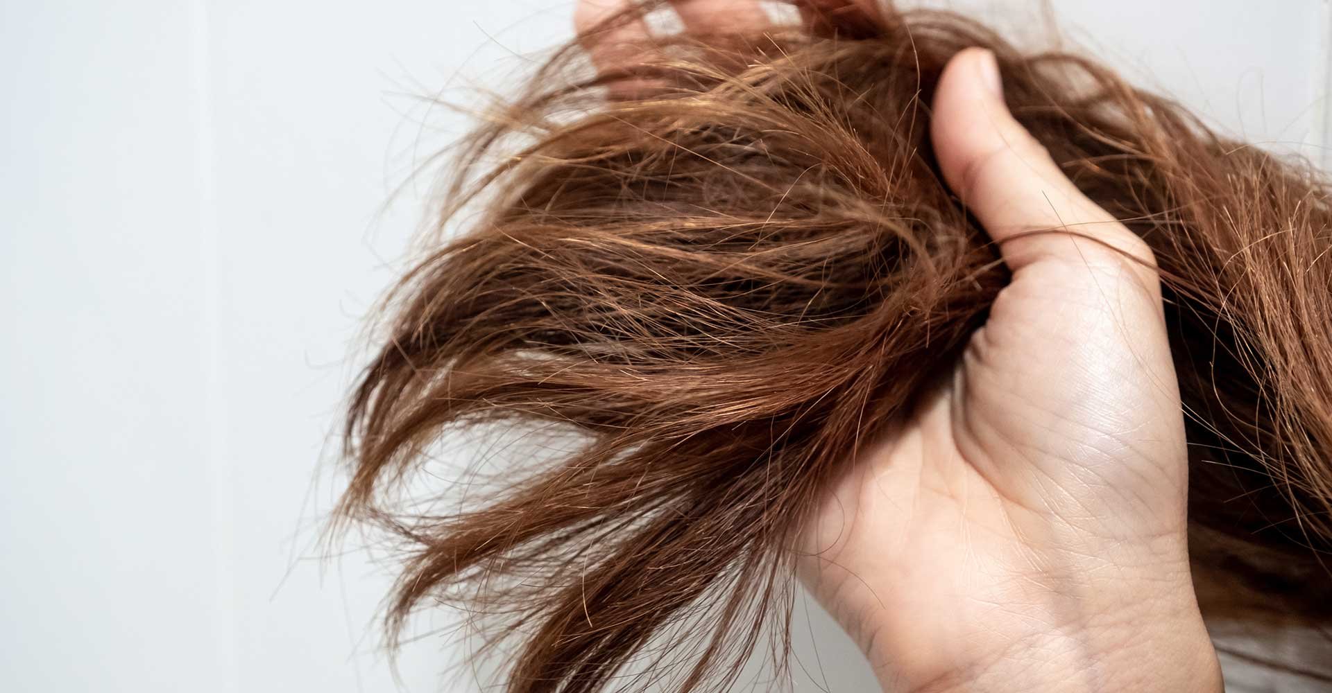 Imagem De Um Cabelo Castanho Quebradio