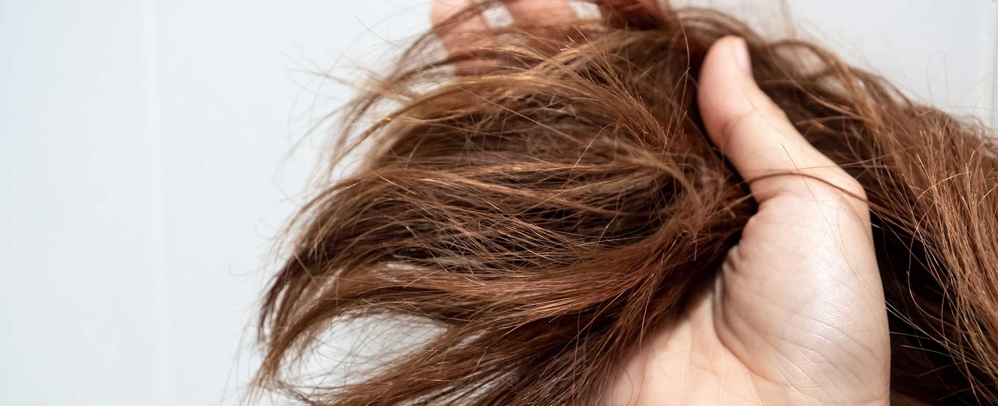 Imagem De Um Cabelo Castanho Quebradio