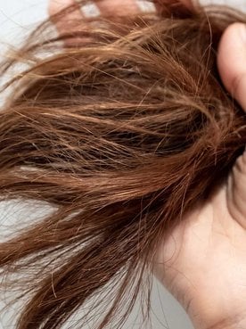 Imagem De Um Cabelo Castanho Quebradio