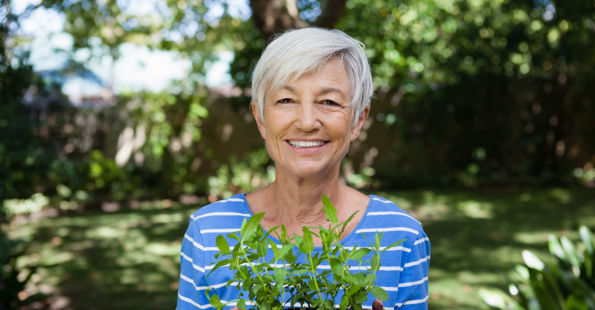 2936 Cabelo Branco Como Fazer Hidratacao Para Dar Brilho E Maciez Aos Fios Grisalhos