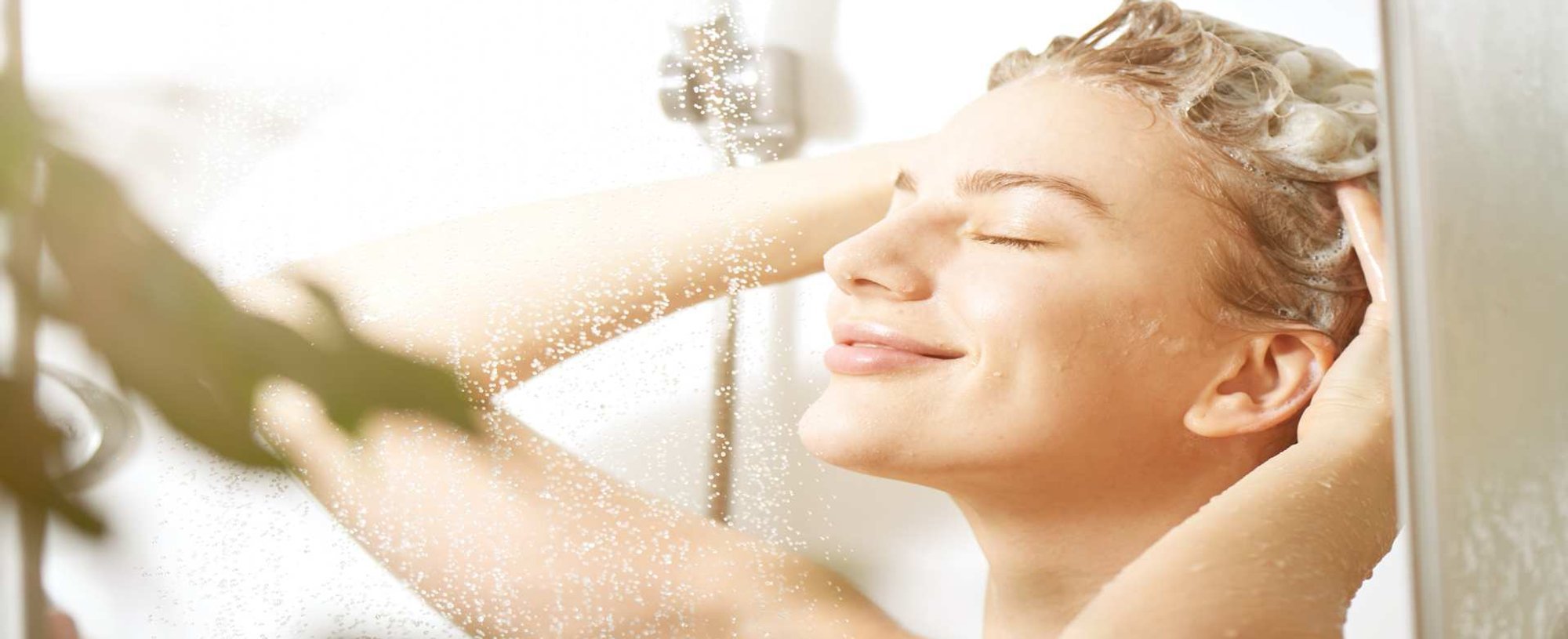 3363 Qual O Shampoo Certo Para O Meu Cabelo