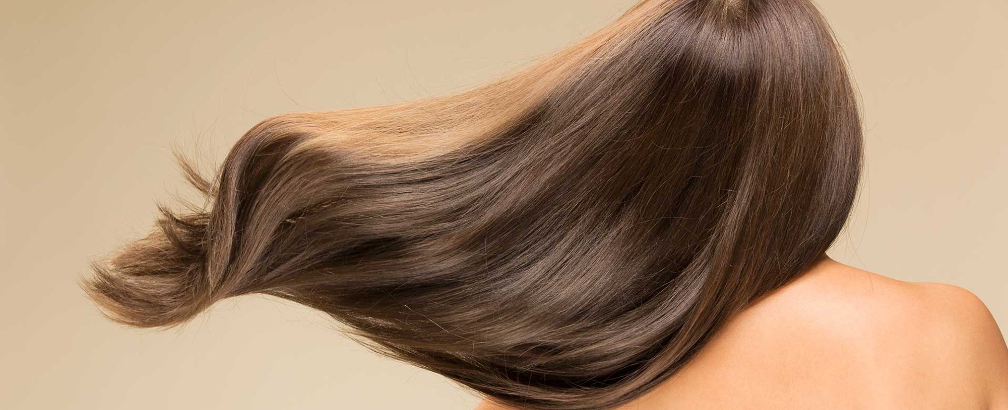 Modelo De Costas Com Cabelos Volumosos Castanhos