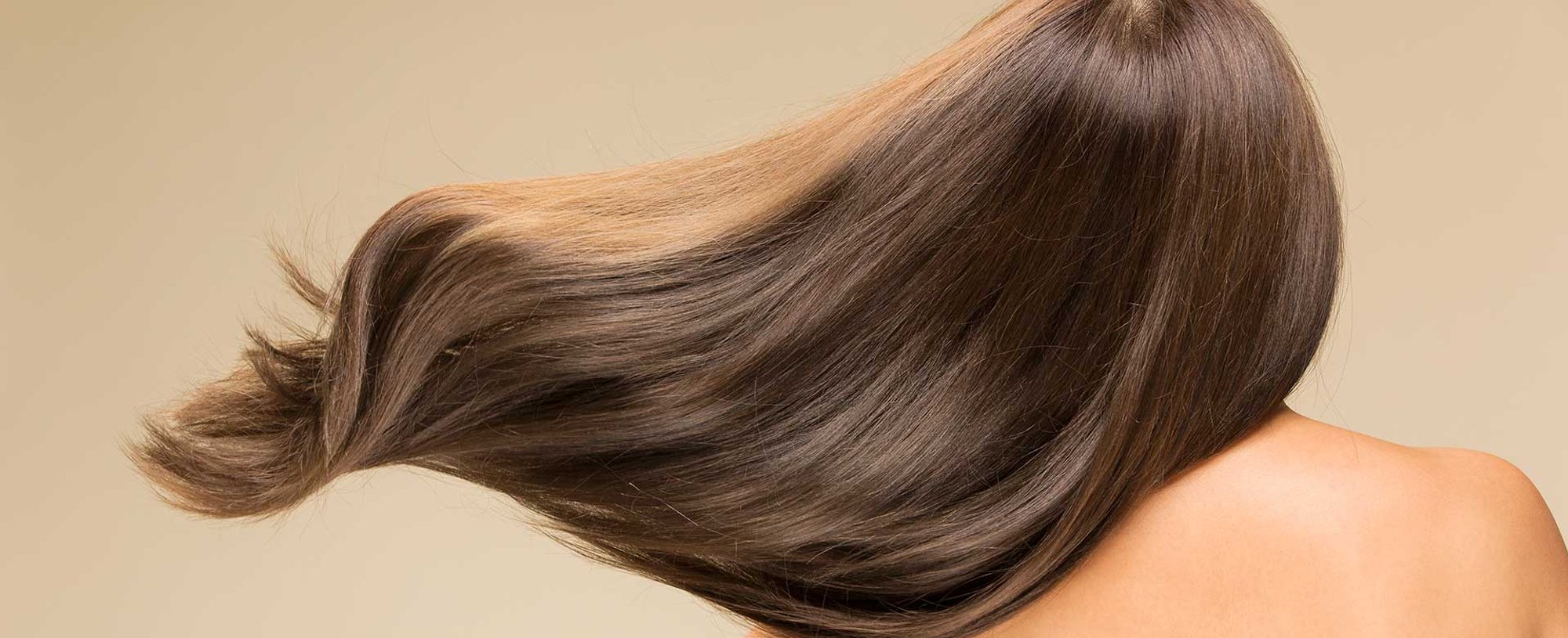 Modelo De Costas Com Cabelos Volumosos Castanhos