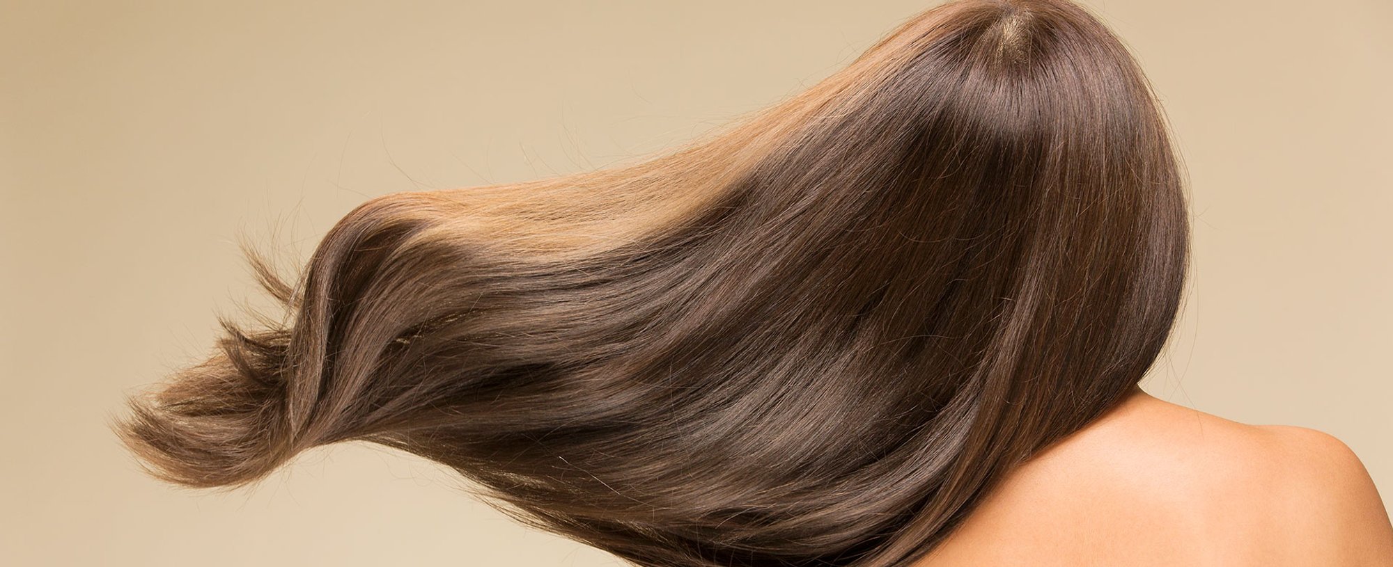 309Modelo Com Cabelo Castanho Longo