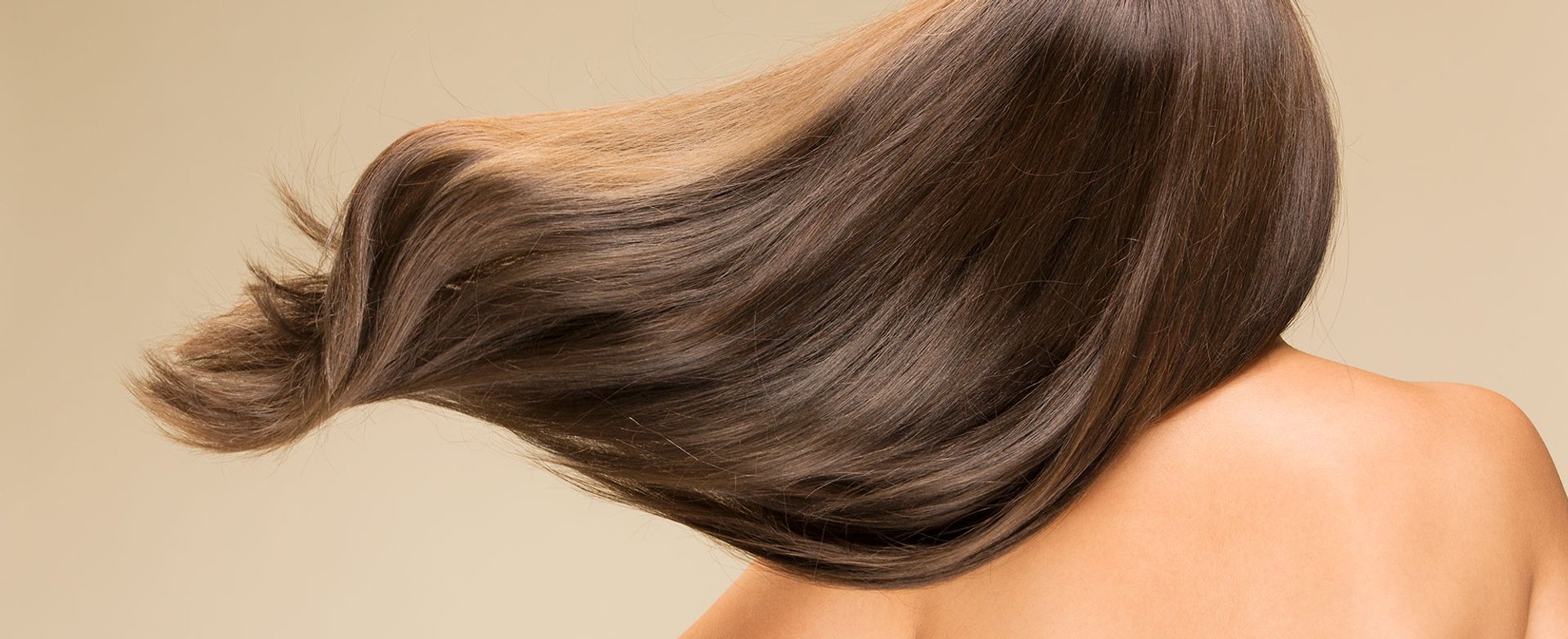 309Modelo com cabelo castanho longo