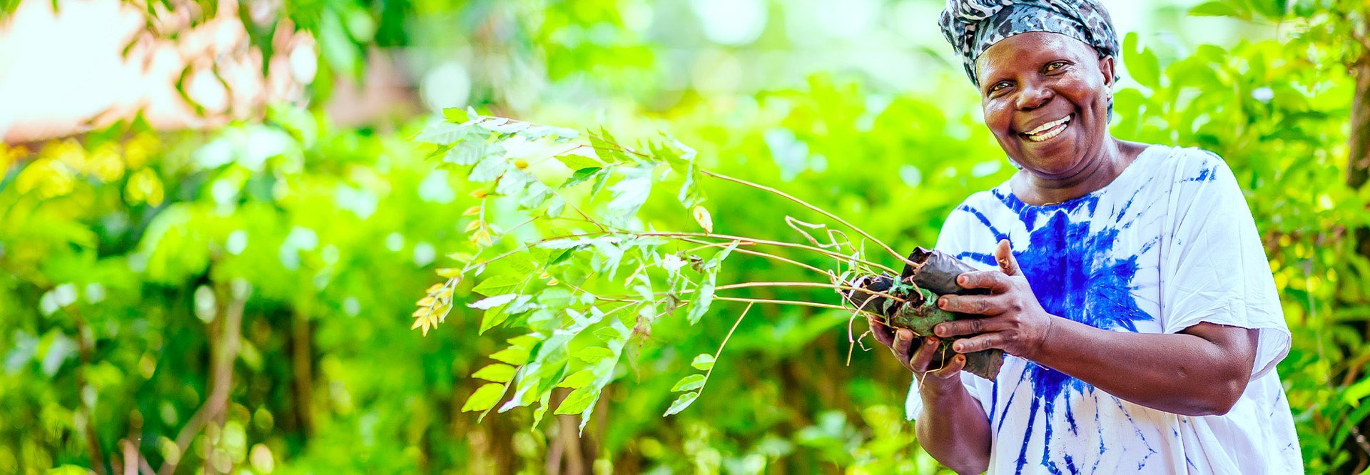 Mulher negra sorridente segurando muda de planta