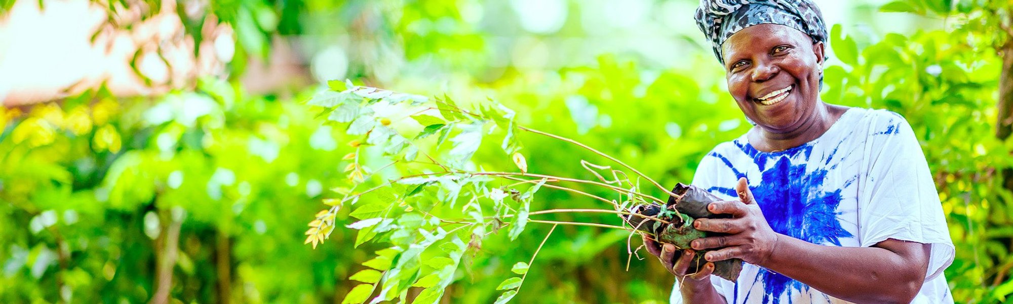 Mulher negra sorridente segurando muda de planta